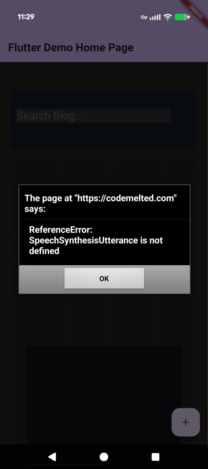 Flutter WebView Error Screenshot